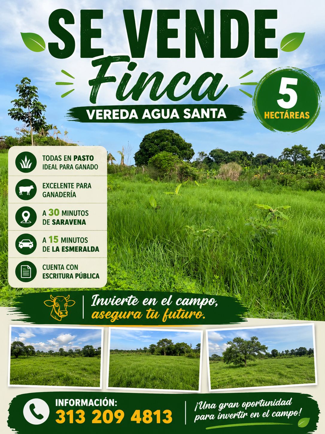 Se vende finca en Agua Santa