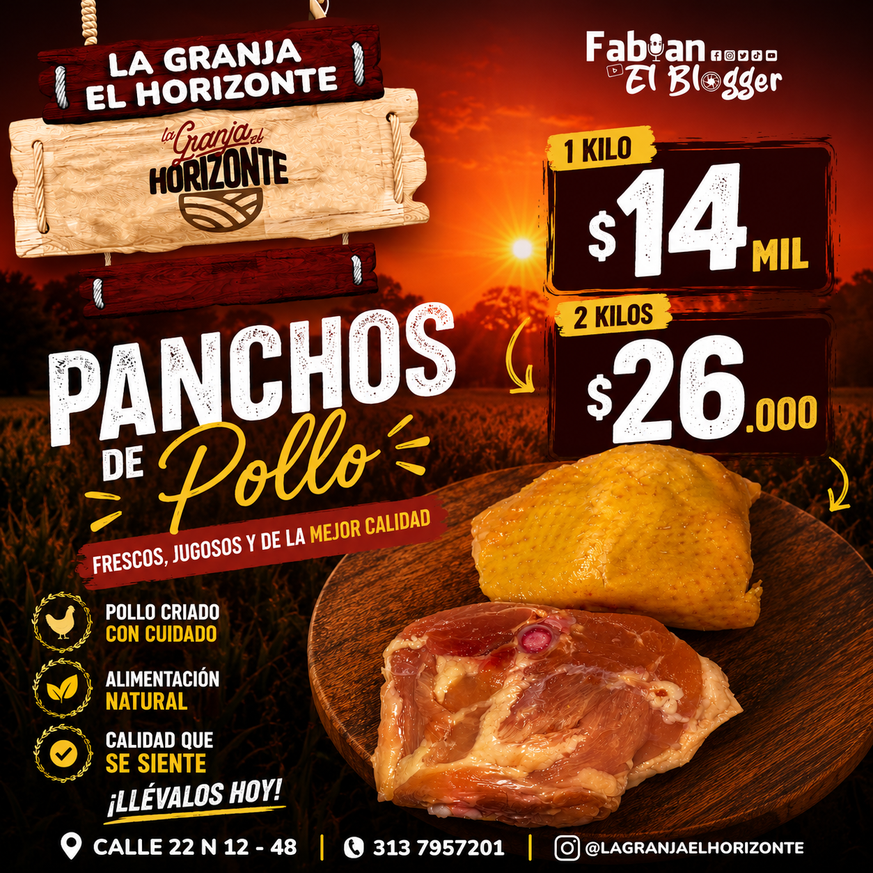 Promoción Panchos de Pollo